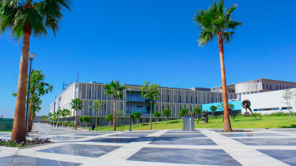 3è sommet des jeunes africains et euro-méditerranéens de l'Université Euromed, le 19 janvier à l’Académie du Royaume
