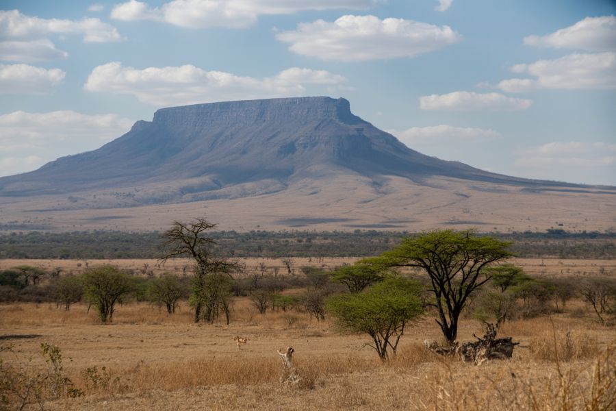 Tanzania Unleashes Explosive Tourism Growth, Dominating European Markets And Redefining Travel Destinations!