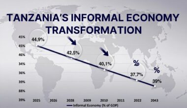 Will Informality Remain Tanzania’s Economic Shock Absorber — or Become Its Biggest Risk? - TICGL