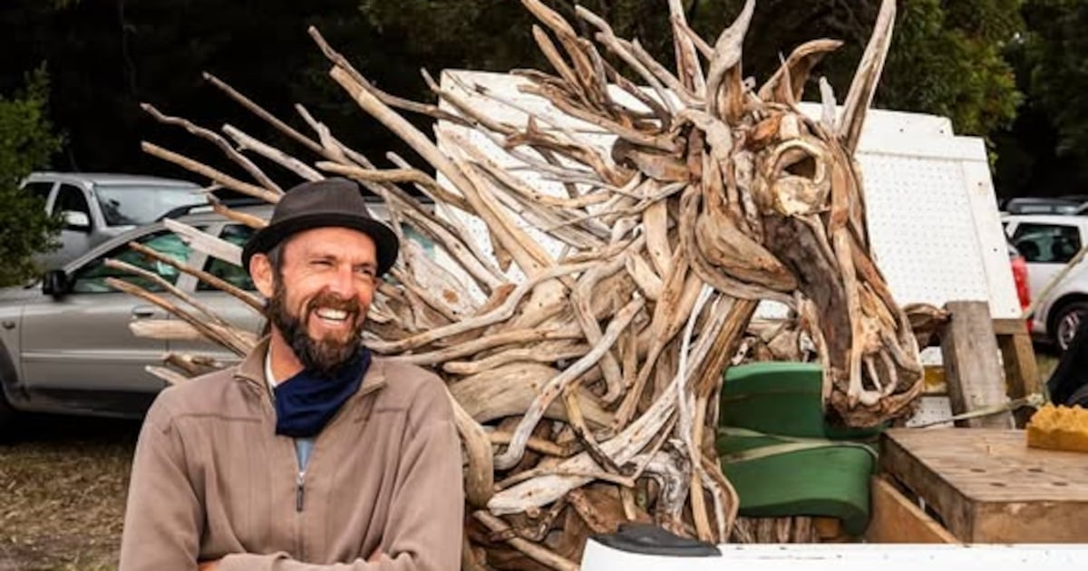 Artist accused of murder of former Plett detective appears in court