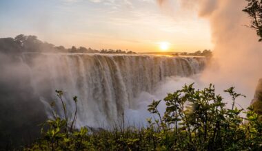 Zimbabwe : nearly 500,000 tourist arrivals in Q3 2025
