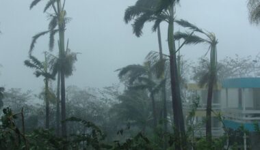 South africa weather forecast