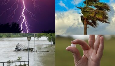 South Africa weather forecast