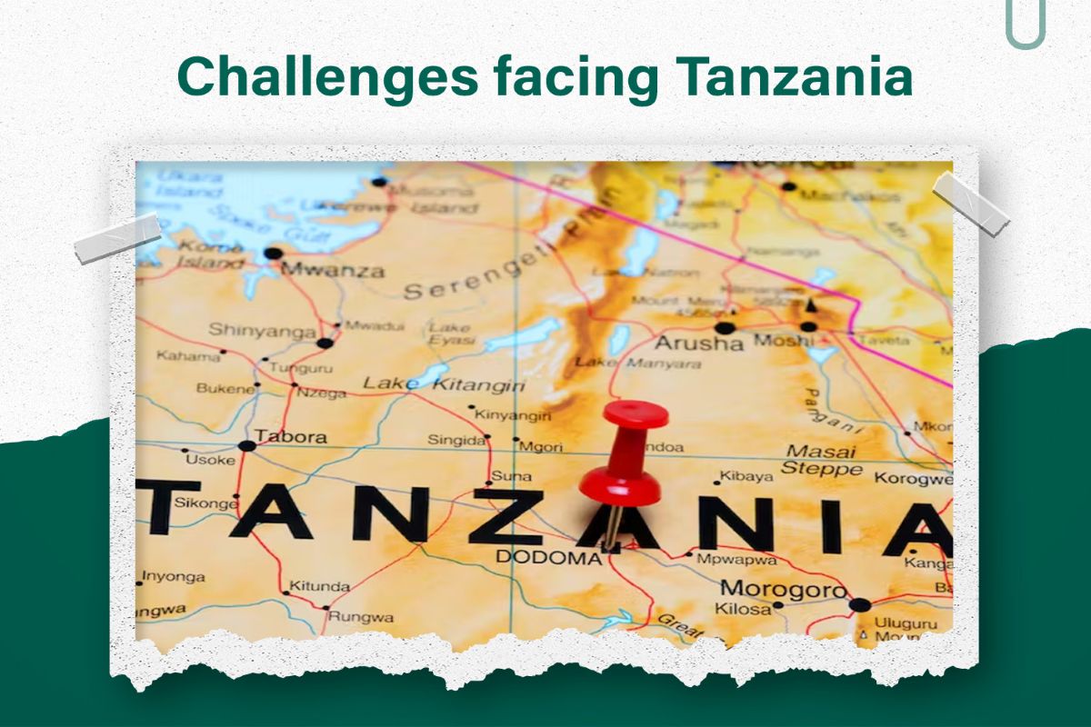 What Are the Major Geoeconomic Threats Facing Tanzania Today? - TICGL
