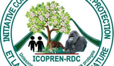 L'île d'Idjwi en RDC sanctuaire des singes bleus - L'Afrique en marche