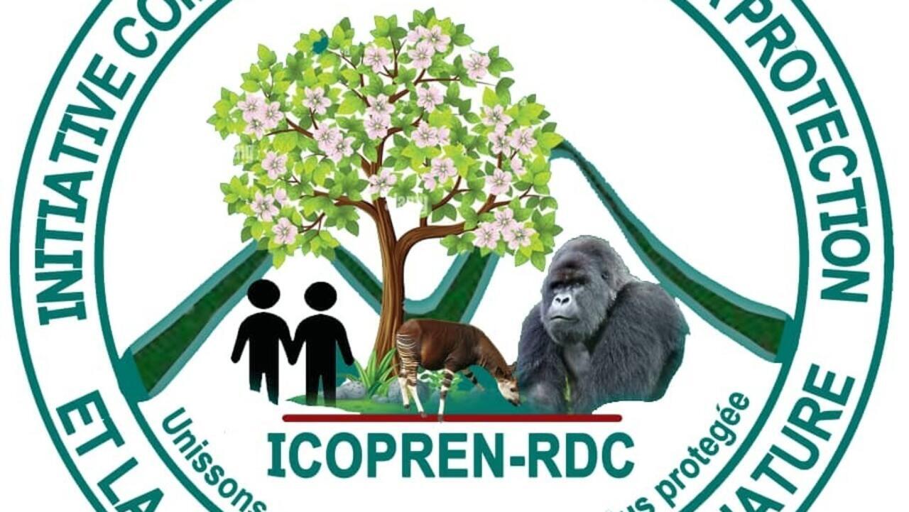 L'île d'Idjwi en RDC sanctuaire des singes bleus - L'Afrique en marche