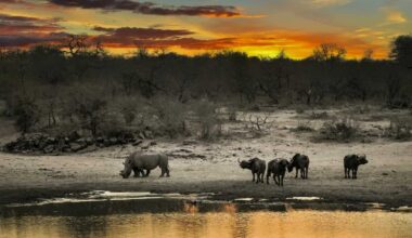 PICS | Couple assaulted with hammer during armed attack at South African game reserve