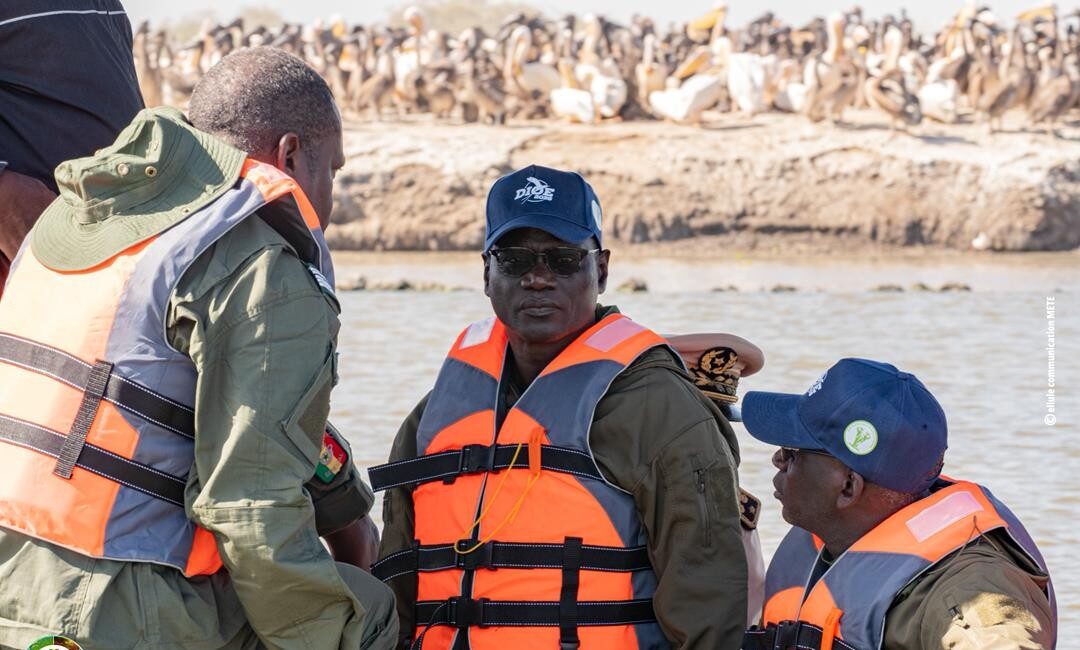 Dénombrement international des Oiseaux d’eau : le ministre de l’Environnement en visite au Parc du Djoudj