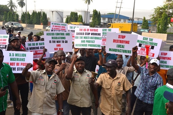 WhatsApp Image 2026-01-31 at 1.42.04 AM