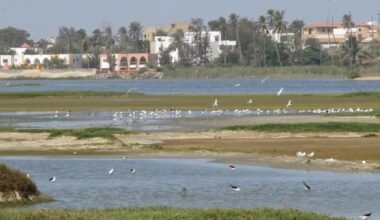 Le Technopôle de Dakar, un refuge naturel sous pression au cœur de la capitale