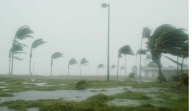 South africa weather forecast