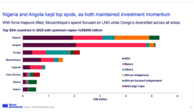 Nigeria retains Africa’s oil king title as rivals stumble – Wood Mackenzie