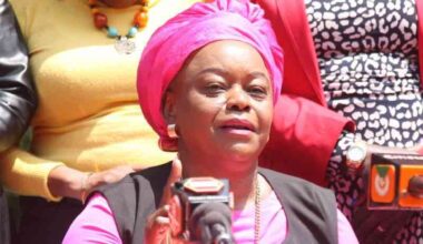 Senate to seek public opinion on proposed surrogacy legislation