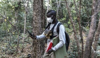 Page d'accueil Yahoo news