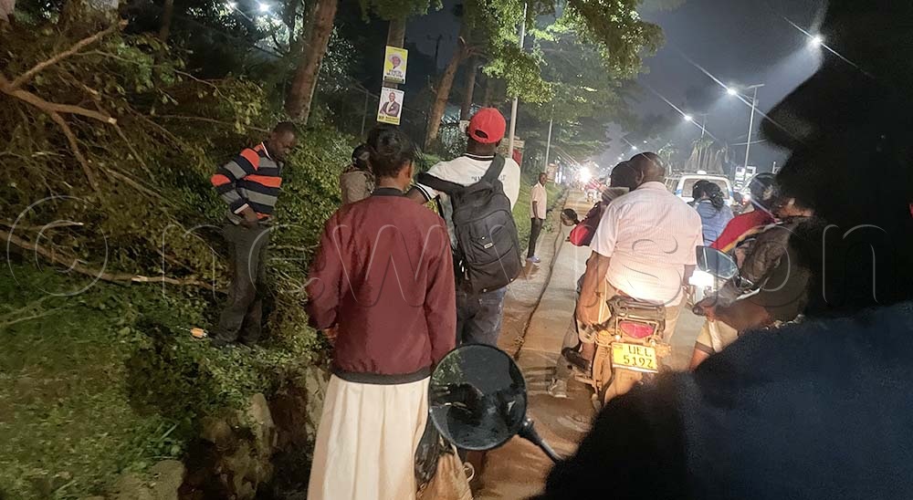 Bodabodas seized the narrow gaps, weaving aggressively between stationary cars. (Credit: Ibrahim Ruhweza)