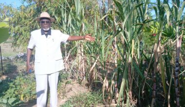 4 dams ,150 water pans completed in Kibwezi West