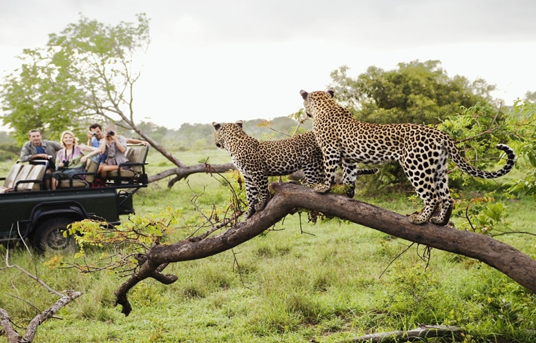 Top rated Safari Operators in Tanzania – Choose Safari Soles