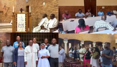 Catholic Archbishop in South Africa Calls for Formation on Synodality ahead of Implementation