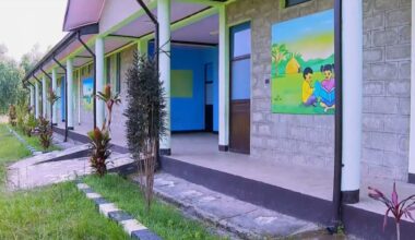Ethiopia Expands Early Childhood Education Nationwide - ENA English