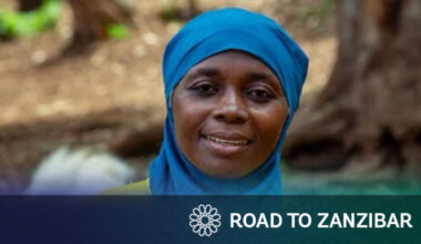 Zimbabwe Socio-Economic Transformation Fund