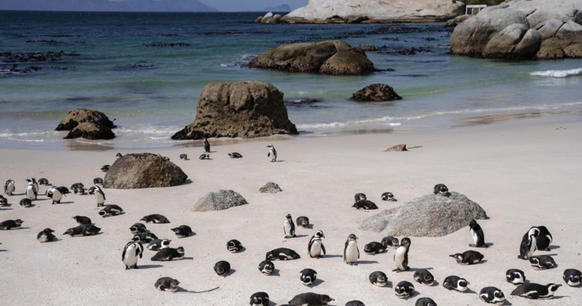 Boulders traffic nightmare for locals and tourists