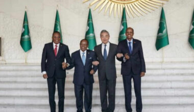 « Pour le développement et la revitalisation de l’Afrique »