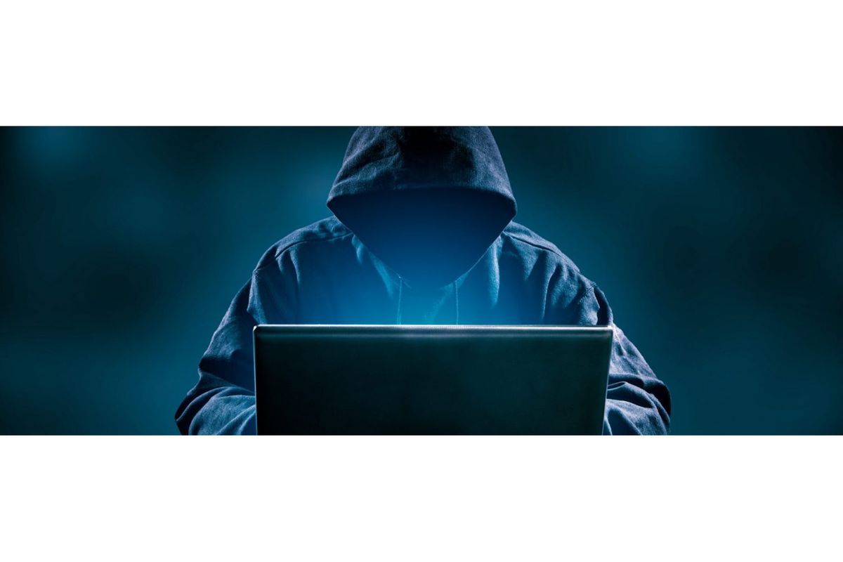 Trolls’ paradise: Exposing the sinister side of social media