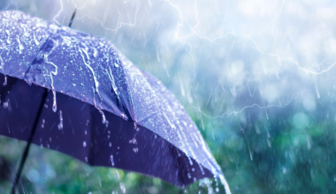  Météo: les couleurs du ciel et les températures ce jeudi 08 janvier