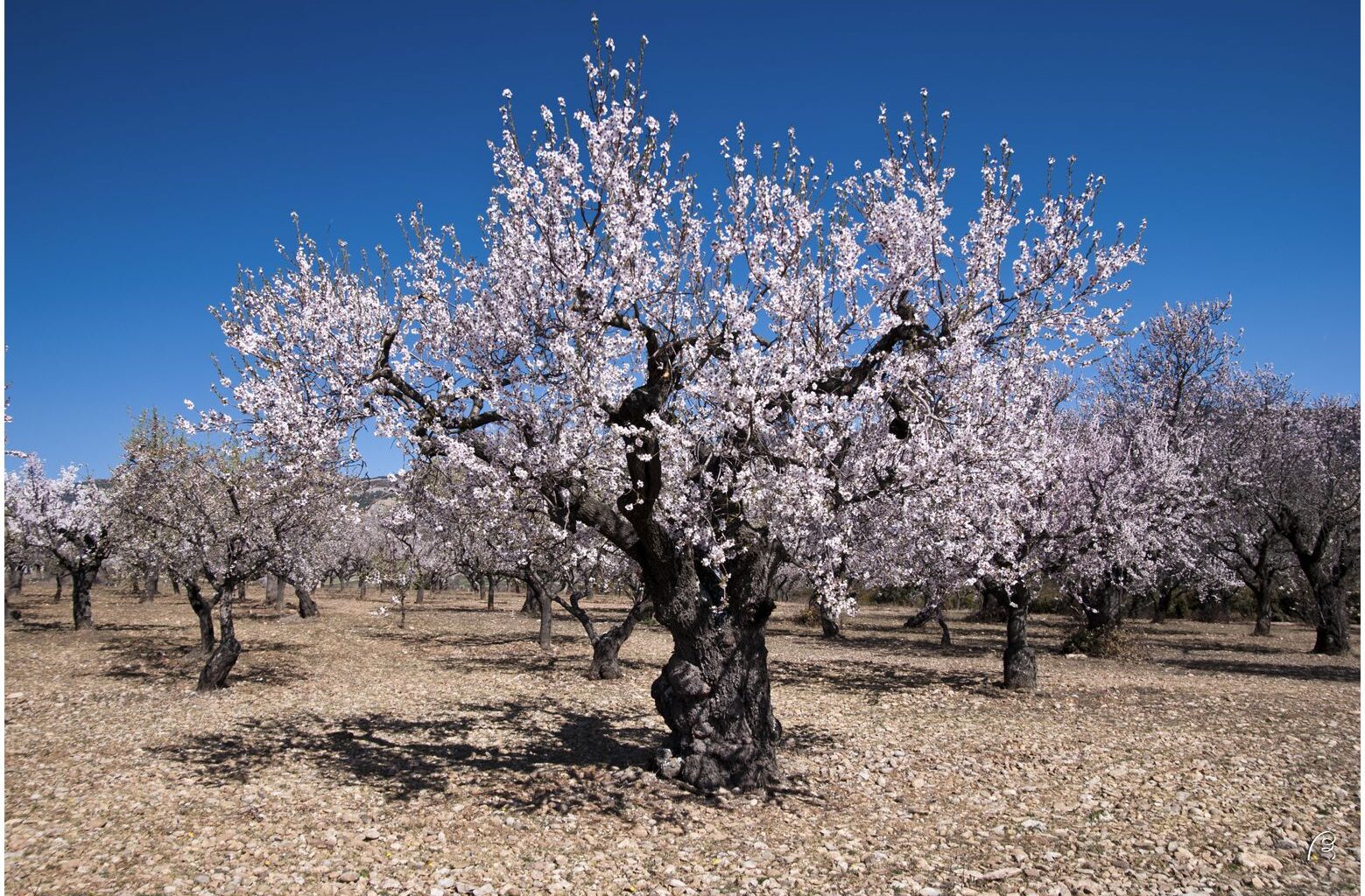 Développement-durable-Avancement-des-projets-agricoles-à-Taroudant