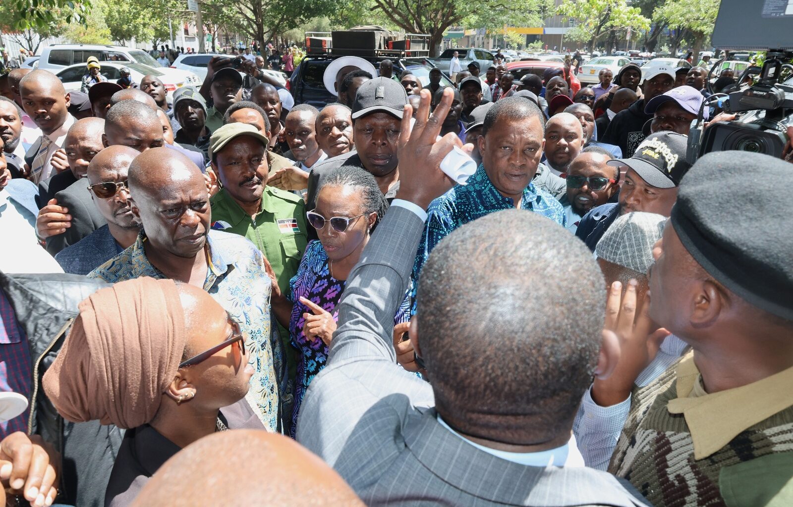 Guinness ratifies Truphena’s 72-hr tree-hugging feat