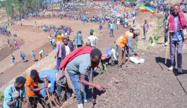 PM Abiy Calls Nationwide Environmental Mobilization - ENA English