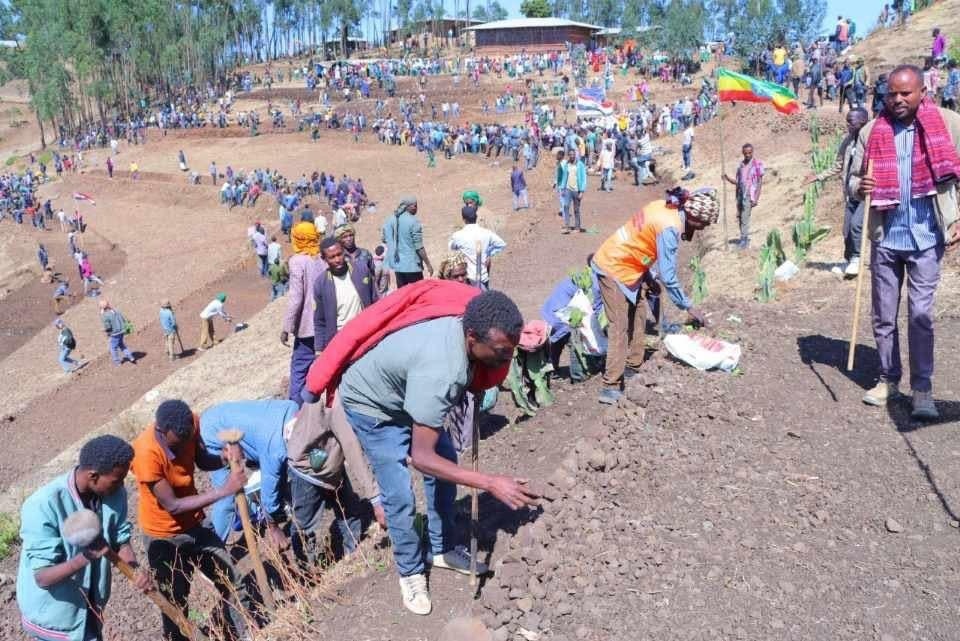 PM Abiy Calls Nationwide Environmental Mobilization - ENA English