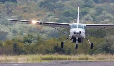 South Africa's FedAir halts lodge flights over compliances