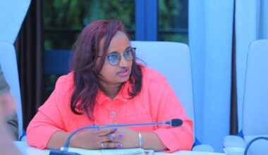 Parliament Approves Appointment of Haymanot Zeleke as DG of Media Authority - ENA English