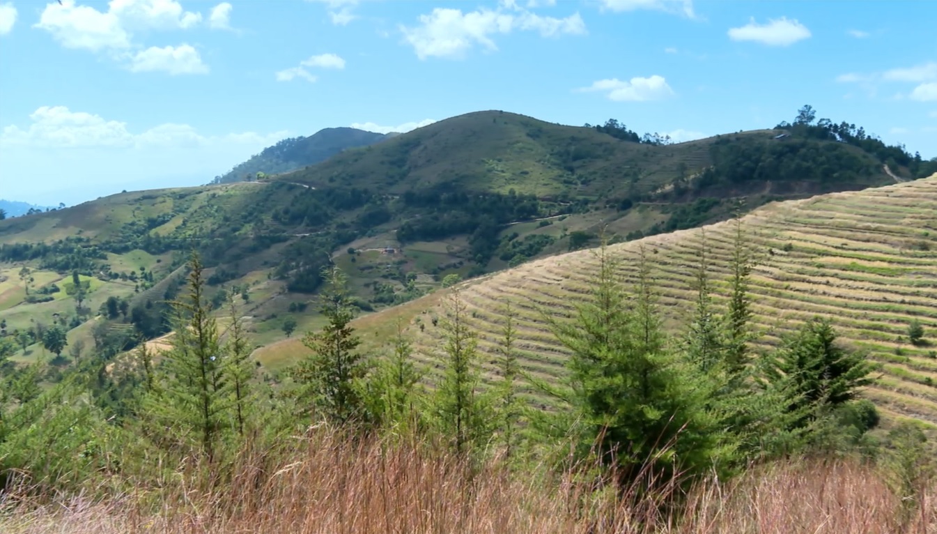 Norwegian Development Fund Applauds Ethiopia’s Soil, Water Conservation Efforts Under Green Legacy - ENA English