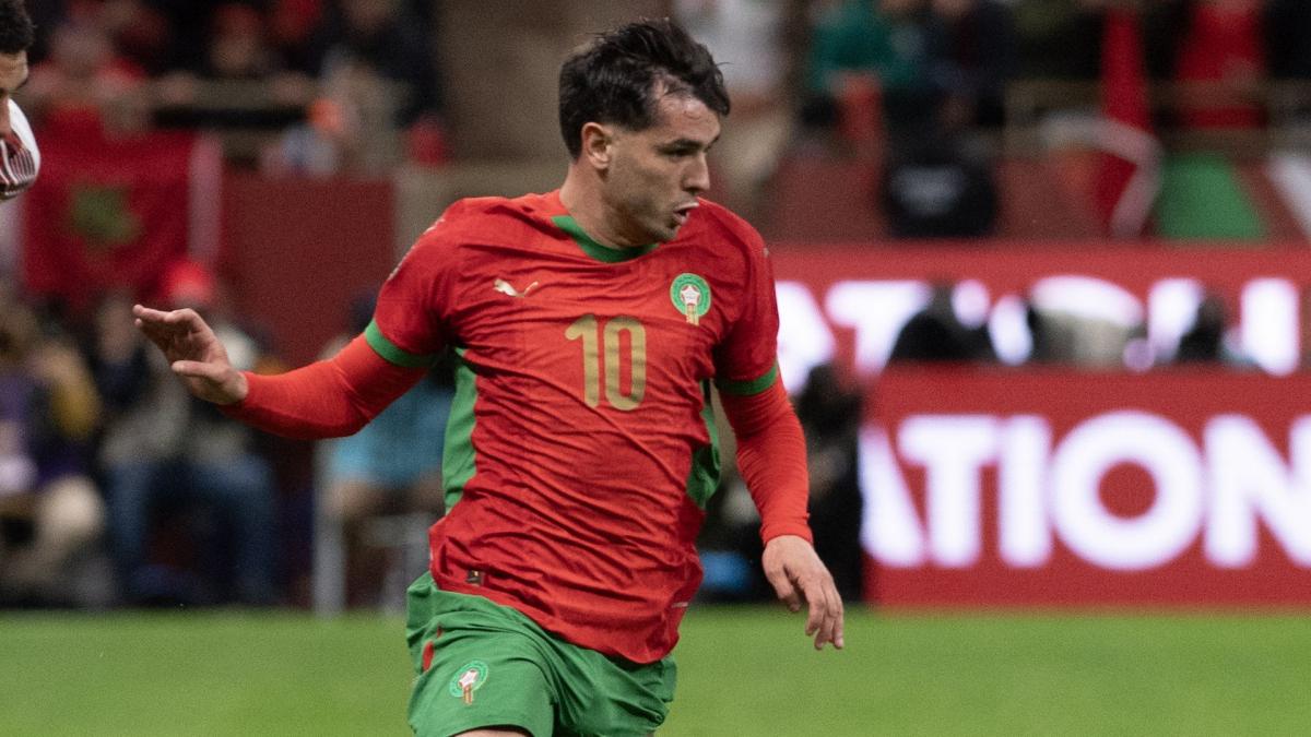 Tanzanie : les compositions officielles