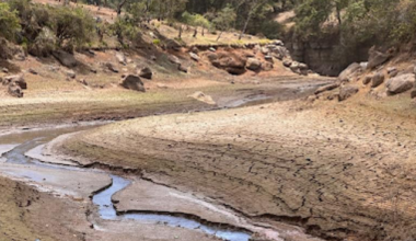 Met: It will be hot, dry till March but rain in some places