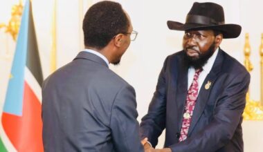 Ethiopia, South Sudan Discuss Ways to Bolster Strategic Cooperation - ENA English