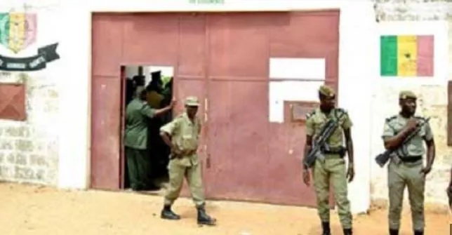 ywAAAAAAQABAAACAUwAOw== - Senenews - Actualité au Sénégal, Politique, Économie, Sport