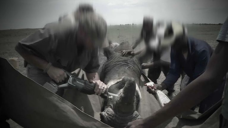 Capture d'écran TF1