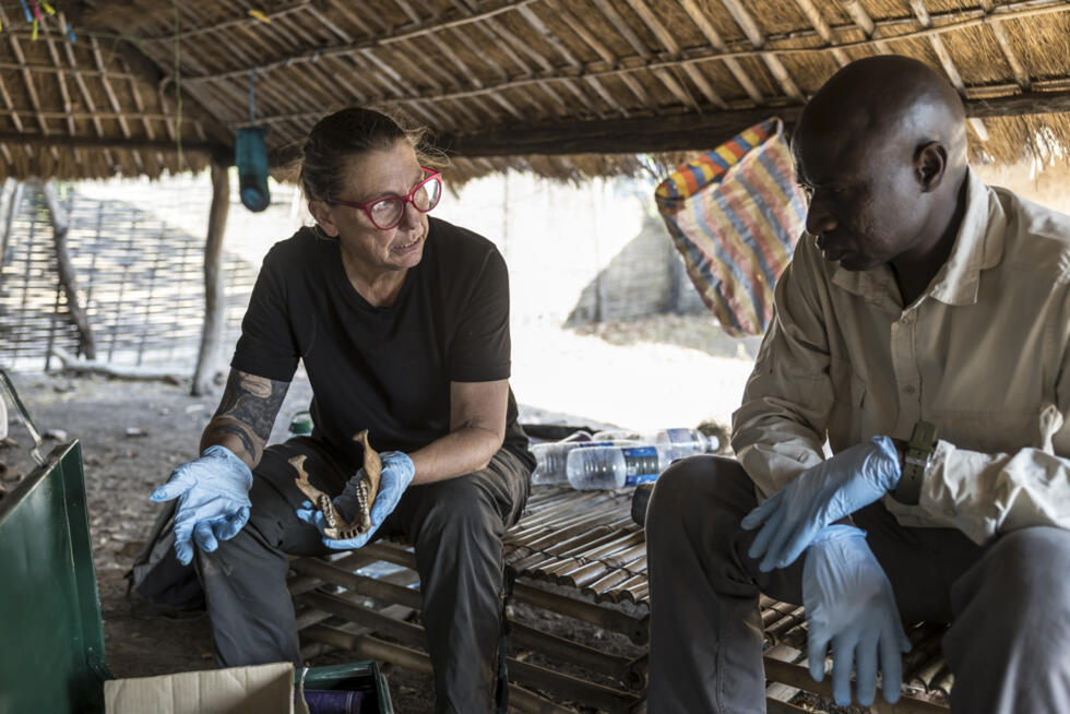 Jill Pruetz (g), primatologue et directrice du "Fongoli Savanna Chimpanzee Project", et le chef de projet sénégalais Dondo "Johnny" Kanté (g), le 10 décembre 2025, dans la région de Kédougou, dans le sud-est du Sénégal