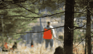 L&rsquo;Algérie a-t-elle interdit la chasse ? Le gouvernement répond