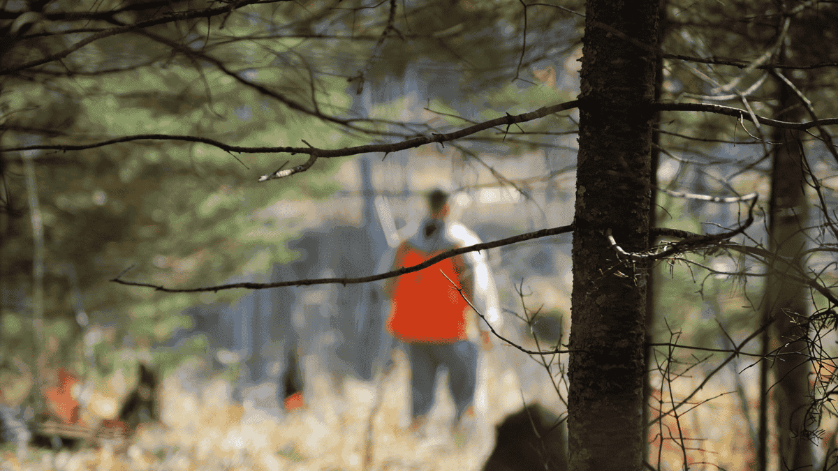 L&rsquo;Algérie a-t-elle interdit la chasse ? Le gouvernement répond