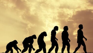 When and how did humans appear? New insights from evolution