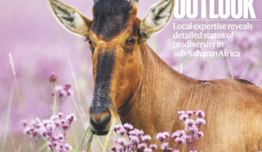 S’appuyer sur l’expertise locale pour connaître le recul de la biodiversité en Afrique subsaharienne