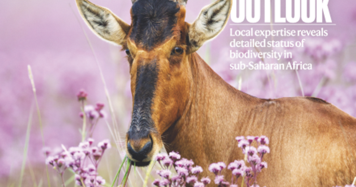 S’appuyer sur l’expertise locale pour connaître le recul de la biodiversité en Afrique subsaharienne