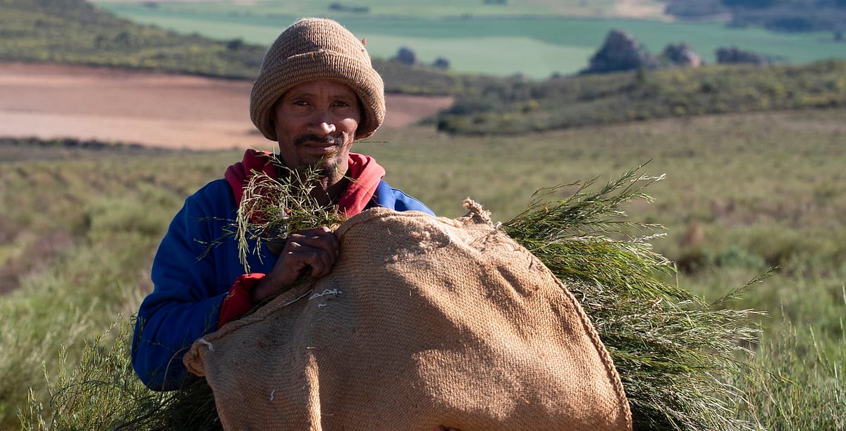 Global South's Fight Against Biodiversity Cartels