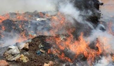 ywAAAAAAQABAAACAUwAOw== - Senenews - Actualité au Sénégal, Politique, Économie, Sport