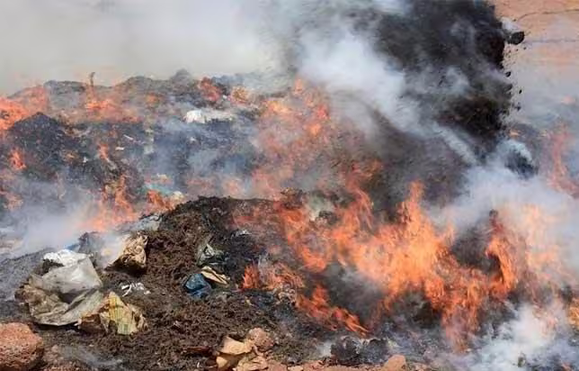 ywAAAAAAQABAAACAUwAOw== - Senenews - Actualité au Sénégal, Politique, Économie, Sport