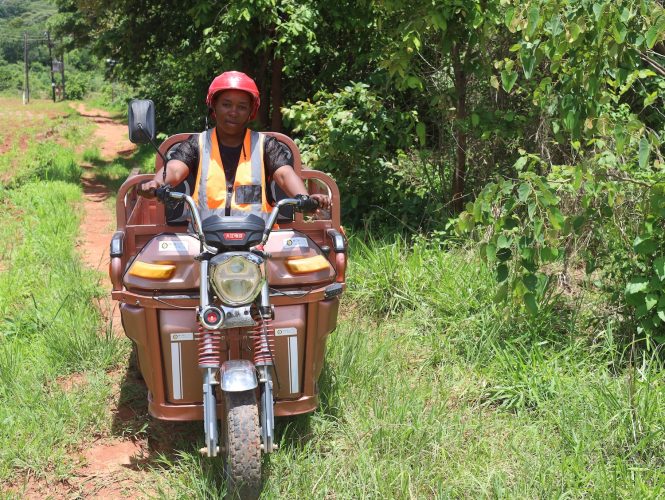 Christine Mutsveta  rides her cargo e-bike down a narrow dirt and grass road in Honde Valley. 